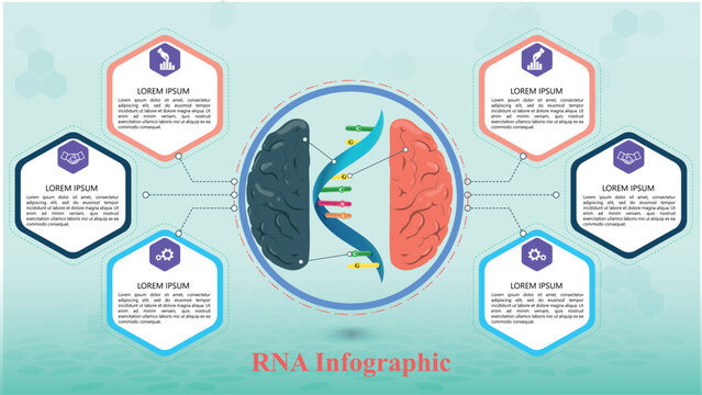 Biological Infographic design with RNA and Brain at the middle and 6 polygonal shapes around