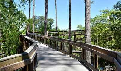 Children's Garden at Cape Fear Botanical Garden, Fayetteville, NC, USA