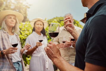 Farmer talking and explaining to diverse group of friends while holding wineglass of red wine on farm. People standing together with alcohol for tasting during summer on vineyard. Weekend wine tastin
