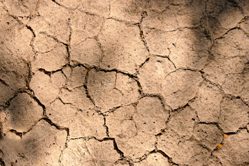 Wall texture soil dry crack pattern of drought lack of water of nature brown old broken background.