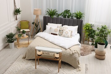 Large comfortable bed, lamp and beautiful houseplants in bedroom. Interior design