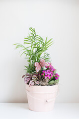 Tropical house plants pot arrangement. 