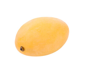 mango slice isolated  transparent png