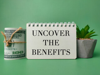 Green plant and notebook with the word UNCOVER THE BENEFIT