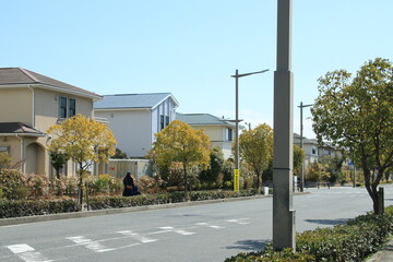 Fototapeta na wymiar 兵庫県芦屋市南部の住宅街の街並み