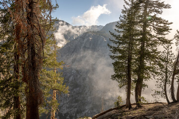Pine Trees Looks Out Over Wisps Of Low Hanging Clouds At The Watchtower