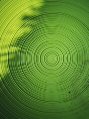 Green circle pattern surface with sunlight and shadow tree. 