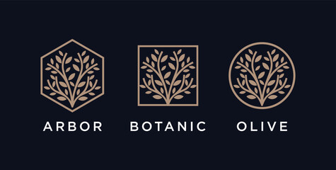 Abstract Tree of life logo icons set. Botanic nature symbols. Tree branch with leaves signs. Vector illustration