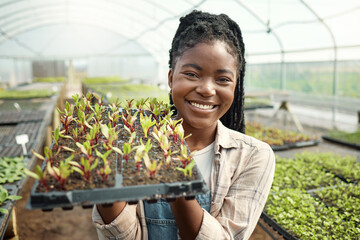 Young farmer carrying a tray of plants. Portrait of a farmer holding plants. Farmer carrying agriculture tray. Happy woman working on a farm. African american farmer carrying growing seedlings