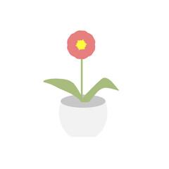 Houseplants