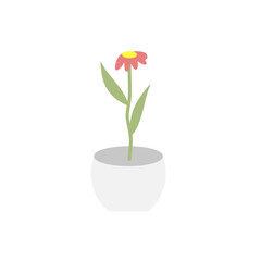 Houseplants