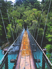 bridge over the river