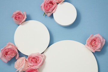 Fototapeta na wymiar Top view of round white podiums decorated on blue background with beautiful roses. Blank space for display cosmetic product with minimal concept.