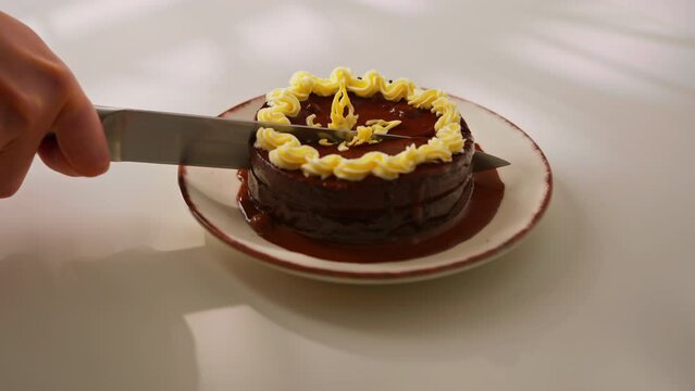delicious chocolate cake Sacher or Prague cake on a white background dessert decorated with custard cut with a knife