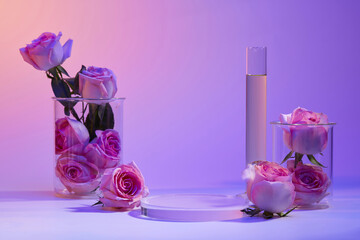 Several Roses filled inside two beakers, a test tube of liquid and round transparent podium. Rose (Rosa) essential oil can help protect sensitive skin cells