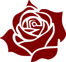 vector illustration of rose flower