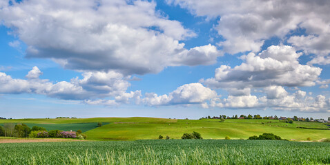 Photos from Denmark. A photo of the Danish countryside at summertime.