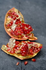 Red pomegranate, is thought to have originated in Iran, but has long been cultivated in the Mediterranean area. The Moors gave the name of one of the ancient cities in Granada. Punica granatum. 