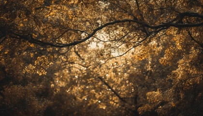 Vibrant autumn foliage illuminates tranquil forest scene generated by AI