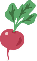 Vegetable beets vector flat illustration