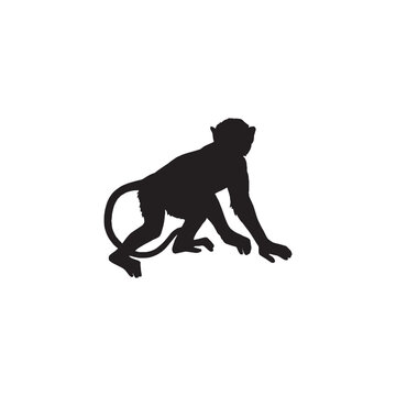 Monkey Silhouette Vector Design Template