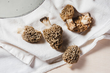 Wild morel mushrooms.