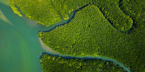 Aerial view of mangrove in Ao thalane-Thailand
