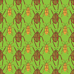 Vector beetles and bugs seamless repeat pattern design background. Digital Textile Print. Vector illustration
