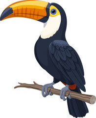 A large toucan toko sits on a branch. Bright vector illustration of tropical toucan bird isolated on white background.