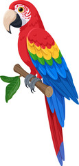 Scarlet macaw sitting on a branch vector illustration. Large red macaw tropical parrot with blue-yellow wings. Isolated on white background.