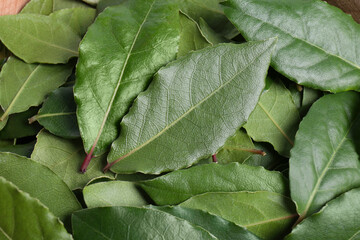 Many fresh bay leaves, flat lay. Spices for cooking