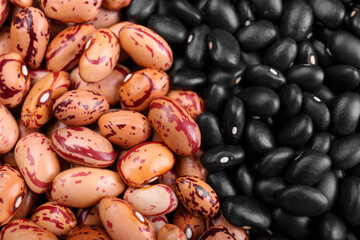 Different kinds of beans as background, closeup