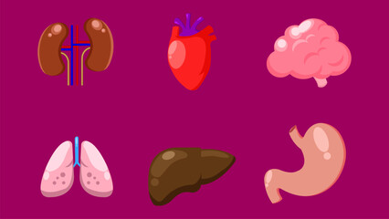 Human organs icons set. Vector illustration of human organs icons for web design