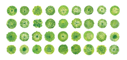 Set of green trees, top view, isolated on white background for landscape or architecture plan. Design elements for environment or garden map, vector illustration.