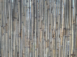 background of intertwined branches, background of branches, bamboo texture, tree background, bamboo, 