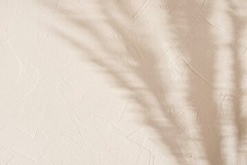 Blurry floral sun light shadows, meadow grass silhouette on textured neutral beige concrete wall background, copy space