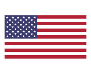 USA flag national American flat icon, United States of America country illustration vector