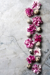 Quail eggs on marble surrounded by pink violet flowers