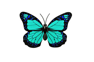 Turquoise butterfly isolated on transparent background top view. Butterfly as an element for design.