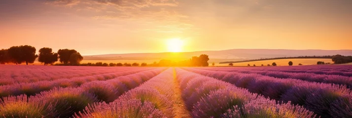 Crédence de cuisine en verre imprimé Brun Stunning landscape featuring a lavender field at sunset
