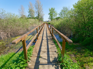 View of the wooden bridge in the fields near the village of Krapje, Lonjsko Polje Nature Park in Croatia
