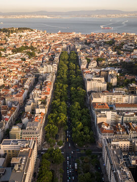 Beautiful aerial view to Liberdade Avenue and city buildings