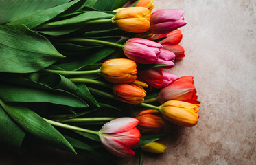 Obraz premium Overhead view of colorful bunch of cut tulip flowers on beige surface.