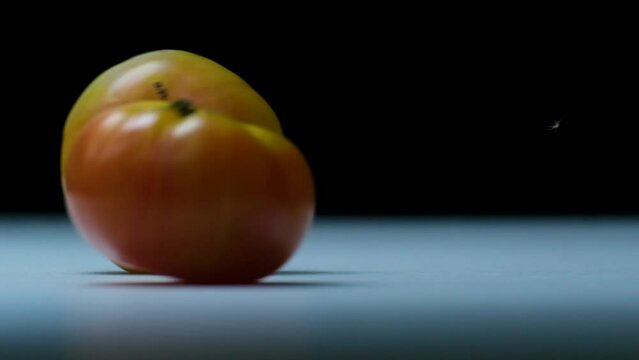 two big beefsteak tomatoes rolling over a white surface appear on the right and rolling all over the screen, and disappear on the left side (close up)
