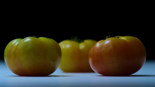 red tomato falling down onto three yellow beefsteak tomatoes with a black background on a white surface (close-up)