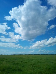 field and blue sky