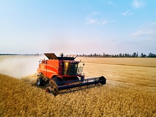 Obraz premium Aerial drone photo of red harvester working in wheat field on sunset. Combine harvesting machine driver cutting crop in farmland. Organic farming. Agriculture theme, harvesting season.