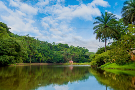 the beautiful landscape of Lac Ma Valée, a large green space of more than 350 hectares with fauna scattered in the forest and flora that contributes greatly to the ventilation of Kinshasa.