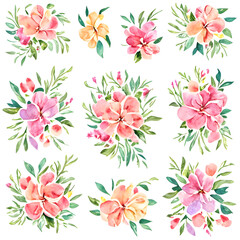 Watercolor floral elements to decorate A.I
