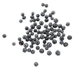Ripe blueberries isolated on white background.